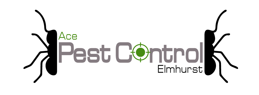City Pest Control Pros