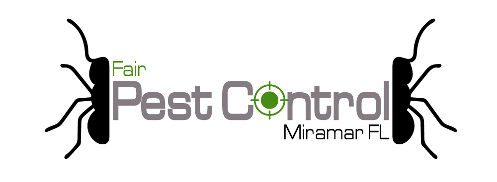 City Pest Control Pros
