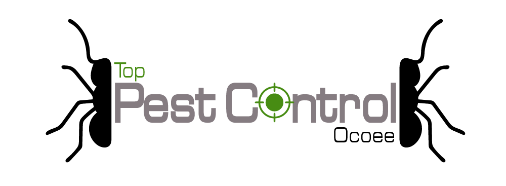 City Pest Control Pros